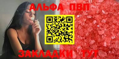 индика Кингисепп