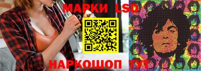 индика Кингисепп