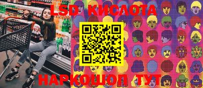индика Кингисепп