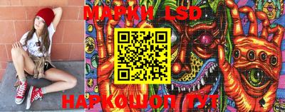 индика Кингисепп