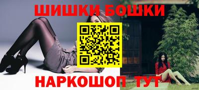 индика Кингисепп