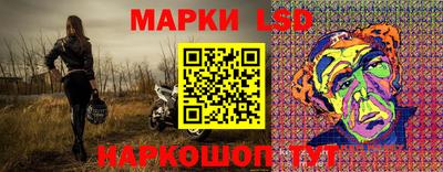 индика Кингисепп