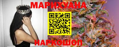 индика Кингисепп