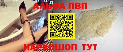 индика Кингисепп