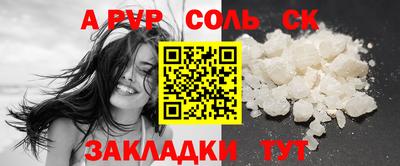 индика Кингисепп