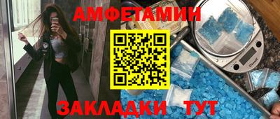 индика Кингисепп