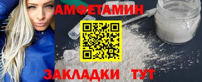 индика Кингисепп