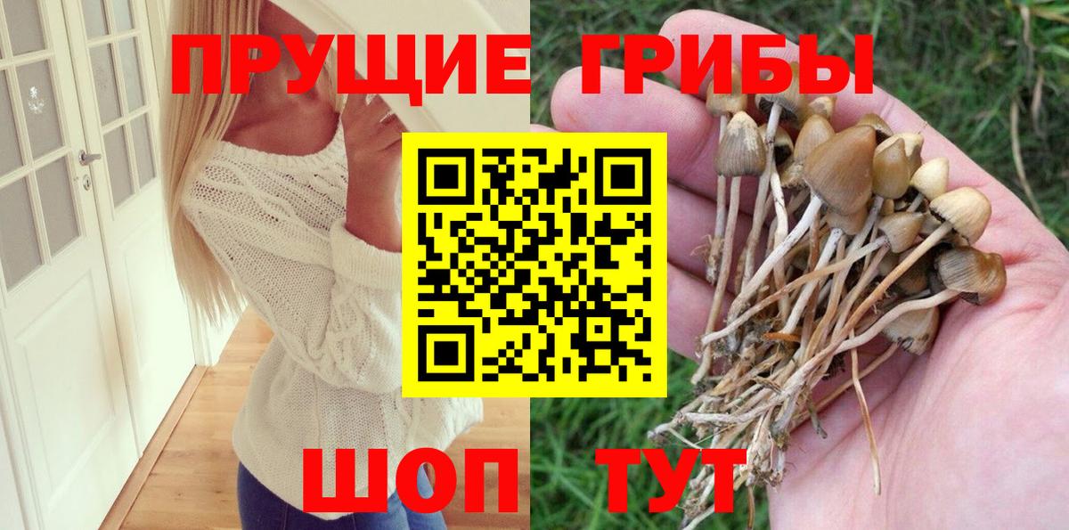 Псилоцибиновые грибы MAGIC MUSHROOMS  Вход с VPN  закладки  Жигулёвск  Галлюциногенные грибы мицелий 